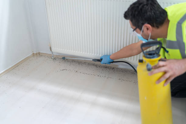 Best Residential Pest Control  in Wildwood, TN